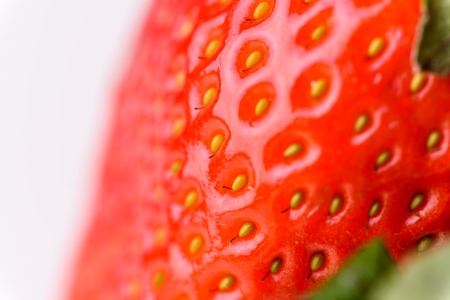 Close-up detail of a fresh red strawberryの写真素材