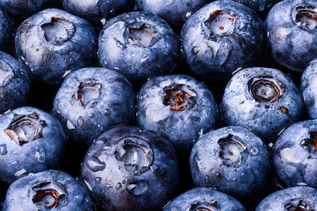 Blueberryâs macro closeup many berryâs black backgroundの写真素材