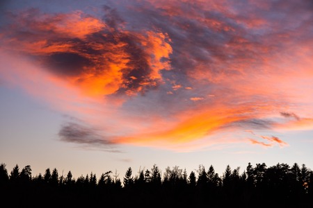 Sunset over forest with dramatic sky and colorful cloudsの写真素材