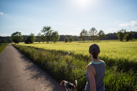 Girl with beagle dog outdoors in fields on the road on a leash. Rural summer landscape. Copy spaceの写真素材