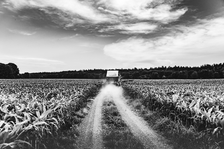 A tractor on a road between corn fields, Driving away, black and white photoの写真素材