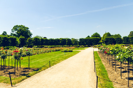 Imperial ross gardens of schonbrunn palace in Vienna. Tourist famous destination.