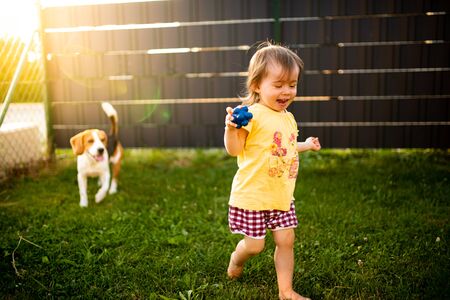 Baby girl running with beagle dog in garden in summer day. Domestic animal with children concept.の写真素材