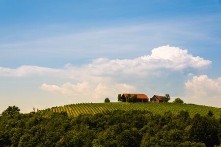 Vineyards in south styria in Austria. Landscape of Leibnitz area from Kogelberg. Tourist...