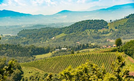 Vineyards in south styria in Austria. Landscape of Leibnitz area from Kogelberg. Tourist...
