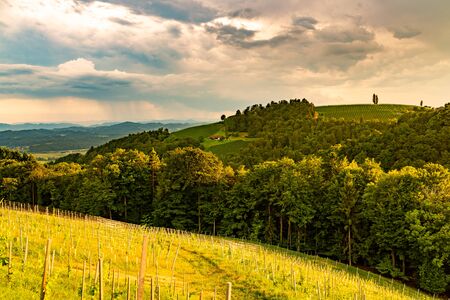 Vineyards in south styria in Austria. Landscape of Leibnitz area from Kogelberg. Tourist...