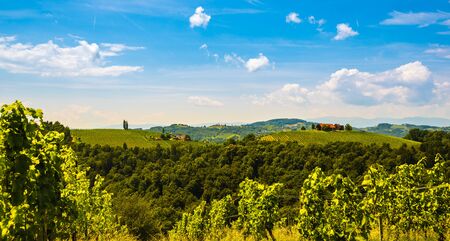 Vineyards in south styria in Austria. Landscape of Leibnitz area from Kogelberg. Tourist...