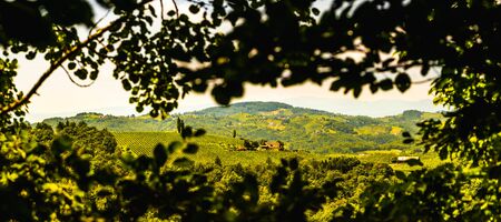 Panorama of Vineyards in south styria in Austria. Landscape of Leibnitz area from Kogelberg. Tourist destination, Green hills of grape crops and mountains.の写真素材