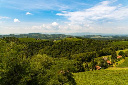 Vineyards in south styria in Austria. Landscape of Leibnitz area from Kogelberg. Tourist...