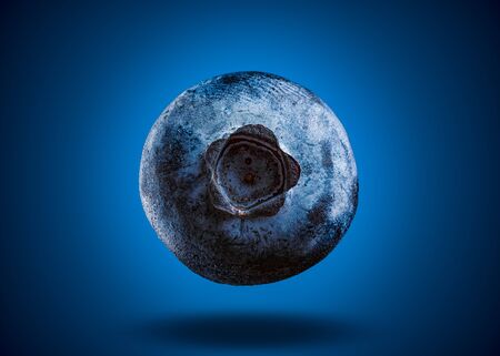 One blueberry closeup isolated on blue background. Very detailed macro shoot with subject in center.の写真素材