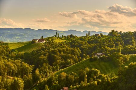 South styria vineyards landscape, Sulztal near Gamlitz, Austria. Grape hills view from wine street ( Sulztal Weinstrasse ) in summer. Tourist destination, travel spot.の写真素材