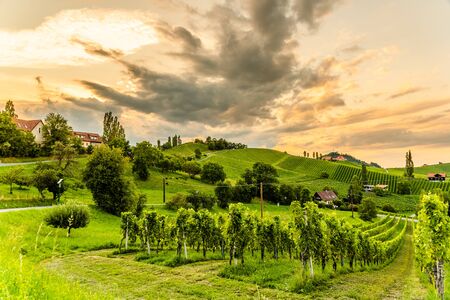 South styria vineyards landscape, Sulztal near Gamlitz, Austria. Grape hills view from wine street ( Sulztal Weinstrasse ) in summer. Tourist destination, travel spot.の写真素材