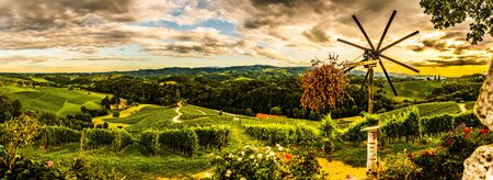 Panorama view of Slovenian Vineyards in summer in south Styria, Austria tourist spot, travel...