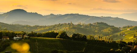 South styria vineyards landscape, near Gamlitz, Austria, Eckberg, Europe. Grape hills view from wine road in spring. Tourist destination, panoramaの写真素材