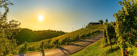 Panoramic view from vineyard to green hills of south styrian wine route in Austria in sunset. Glanz an der Weinstrasse.の写真素材
