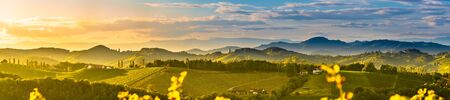 South styria vineyards landscape, near Gamlitz, Austria, Eckberg, Europe. Grape hills view from wine road in spring. Tourist destination, panoramaの写真素材
