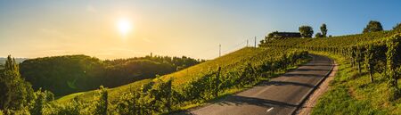 Panoramic view from vineyard to green hills of south styrian wine route in Austria in sunset. Glanz...
