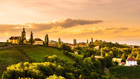 Autumn Landscape panorama of vineyard on an Austrian countryside during sunset in Kitzeck im Sausalの写真素材