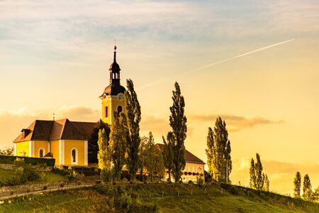 Autumn Landscape panorama of vineyard on an Austrian countryside during sunset in Kitzeck im Sausalの写真素材