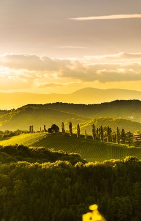 South styria vineyards landscape, near Gamlitz, Austria, Eckberg, Europe. Grape hills view from wine road in spring. Tourist destination, vertical photoの写真素材