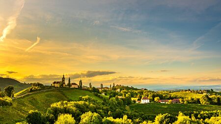 Autumn Landscape panorama of vineyard on an Austrian countryside during sunset in Kitzeck im Sausalの写真素材