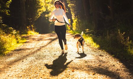 Girl is running with a dog (Beagle) on a leash in the fall time, sunny day in forest. Copy space in natureの写真素材