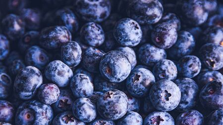 Surface is covered with a thick layer of blueberries. Natural background. Vaccinium uliginosum bog bilberry, bog blueberry, antioxidant food.の写真素材