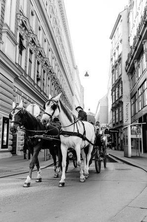 Horse drawn carriage tour on street of old city Vienna in Austria. Tourist spot.のeditorial素材