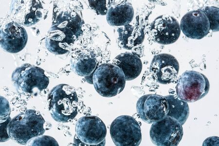 Blueberries falling into water on white backgroundの写真素材