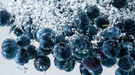 Blueberries falling into water on white backgroundの写真素材