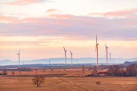Wind turbines on the field in rural area. Ecology concept