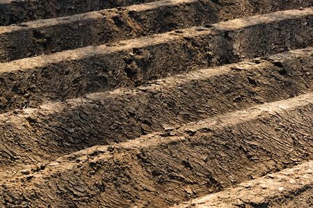 Furrows row pattern in a plowed field prepared for planting crops in spring.の写真素材