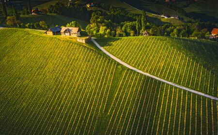 South styria vineyards aerial panorama landscape, near Gamlitz, Austria, Eckberg, Europe. Grape...