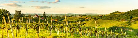 Panorama of vineyards hills in south Styria, Austria. Tuscany like place to visit. Landscape during...