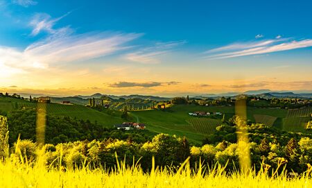 South styria vineyards landscape, near Gamlitz, Austria, Europe. Grape hills view from wine road in...