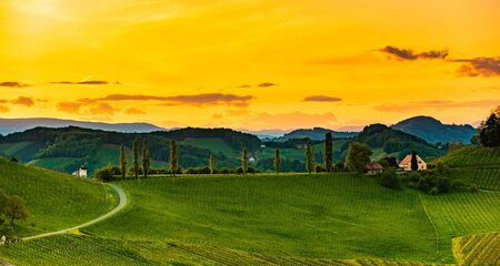 South styria vineyards landscape, near Gamlitz, Austria, Europe. Grape hills view from wine road in spring.の写真素材