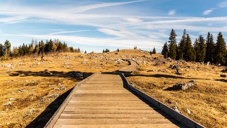 Wooden path at the top of schockl mountain in Graz Austria leading to view point. Mountain andscapeの写真素材