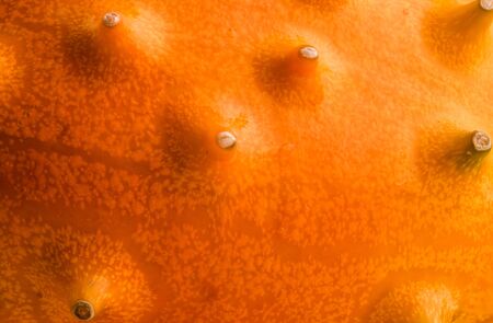 Kiwano or Horned Melon Cucumis metuliferus detailed skin shoot on white background isolated. Yellow Cucumberの写真素材