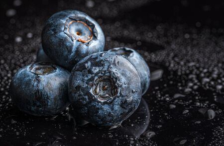 One blueberries covered with water drops isolated on black background. Copy space for text. Selective focusの写真素材
