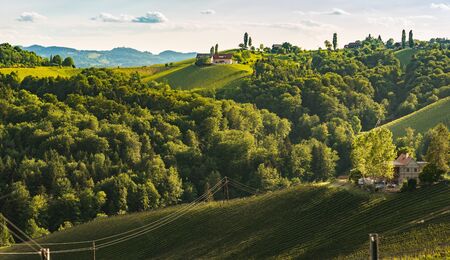 Austria Vineyards Sulztal weinstrasse south Styria tourist spot, wine country places to seeの写真素材