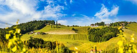 Austria Vineyards Sulztal weinstrasse south Styria tourist spot, wine country places to seeの写真素材