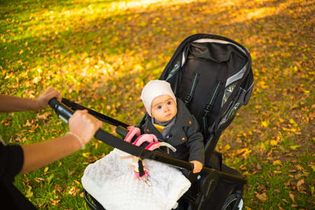 One year old cute baby girl in black strolly amazed to see colorful autumn leaves. Looking up at the...