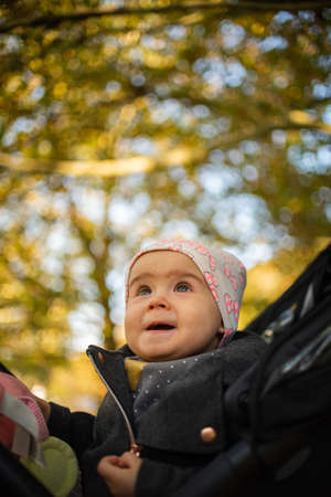 One year old cute baby girl in black strolly amazed to see colorful autumn leaves. Looking up at the...
