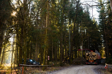 Kaiserwald, Austria - 21.01.2020: Crane in forest loading logs in the truck. Timber harvesting and transportation in forest. Transport of forest logging industry and forestry industry.のeditorial素材