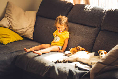 Baby with dog on sofa in bright room. Dog with child themeの写真素材