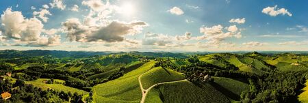 Vineyards panorama Leibnitz area famous destination wine street area south Styria on border with...