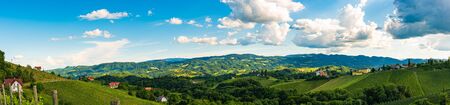Vineyards panorama Leibnitz area famous destination wine street area south Styria on border with Slovenia. Wine country in summer. Tourist destination. Green hills and cropsの写真素材