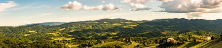 Vineyards panorama Leibnitz area famous destination wine street area south Styria on border with Slovenia. Wine country in summer. Tourist destination. Green hills and cropsの写真素材