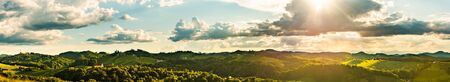 Vineyards panorama Leibnitz area famous destination wine street area south Styria on border with Slovenia. Wine country in summer. Tourist destination. Green hills and cropsの写真素材