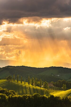 Beautiful landscape of Austrian vineyards in south Styria. Famous Tuscany like place to visit. Scenic view of idyllic Travel destination.の写真素材